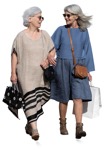 Two elderly women enjoying a lovely summer walk - Person PNG - miniature