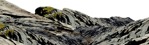 Rocks cut out foreground png (5685) - miniature