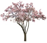 Tree  (1105) - miniature