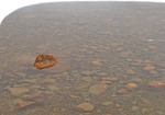 Water rocks  (8282) - miniature