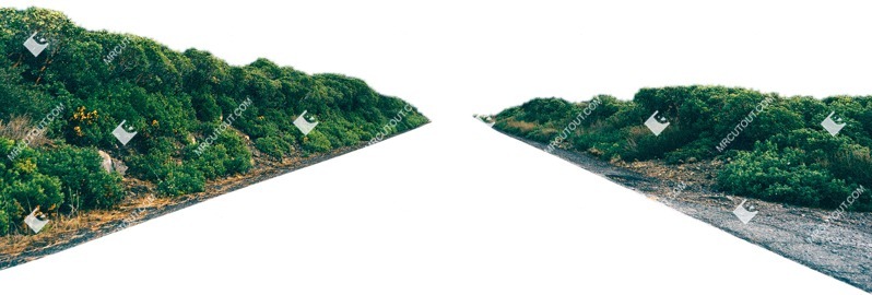Cut out bush grass road other foreground png vegetation (6755)