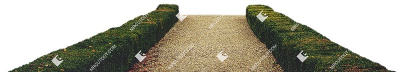 Cut out bush road vegetation png (6404)