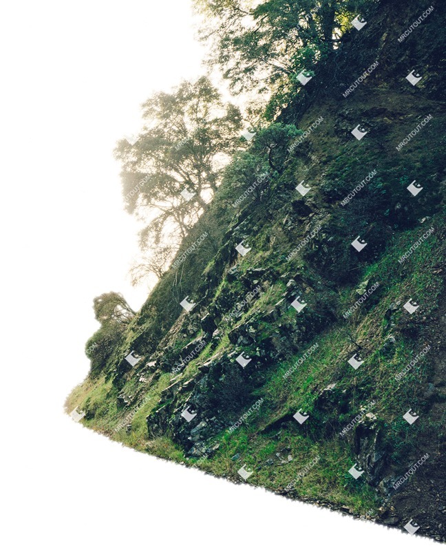 Png bush tree grass other foreground vegetation png (6670)