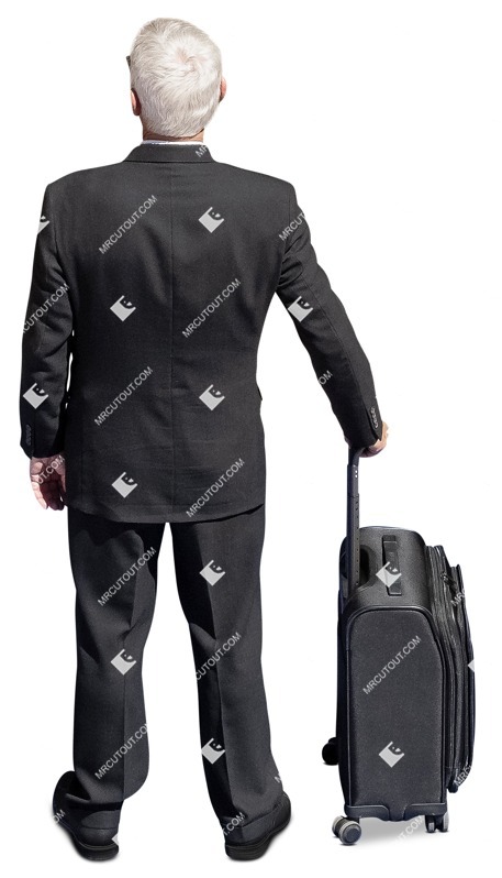 Businessman with a baggage standing people png (14714)