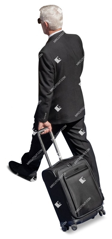 Businessman with a baggage walking people png (14713)