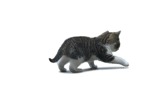 Cat cut out animal png (1364) - miniature