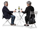 Couple drinking wine people png (17766) - miniature