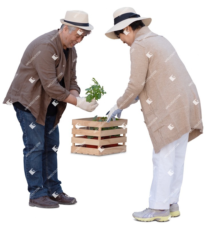 Couple gardening png people (18588)