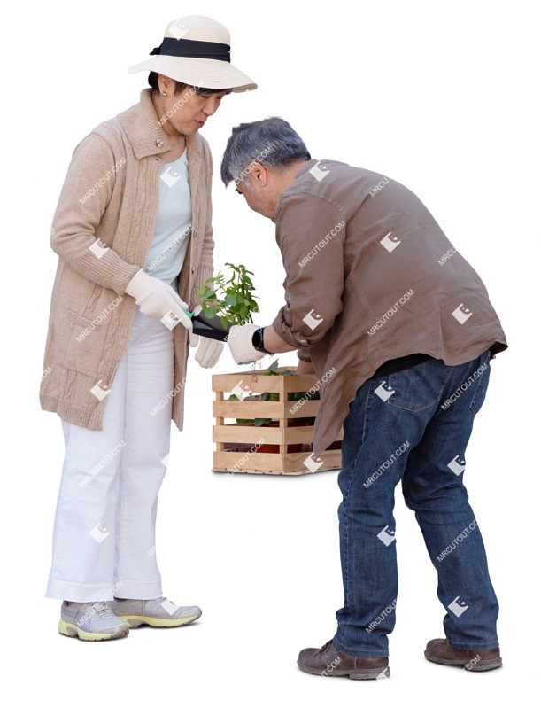Couple gardening entourage people (17373)
