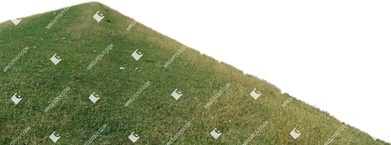 Png cut grass plant cutouts (7188)