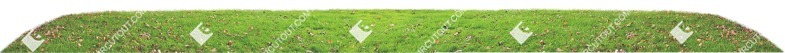 Cut out cut grass grass png vegetation (5826)