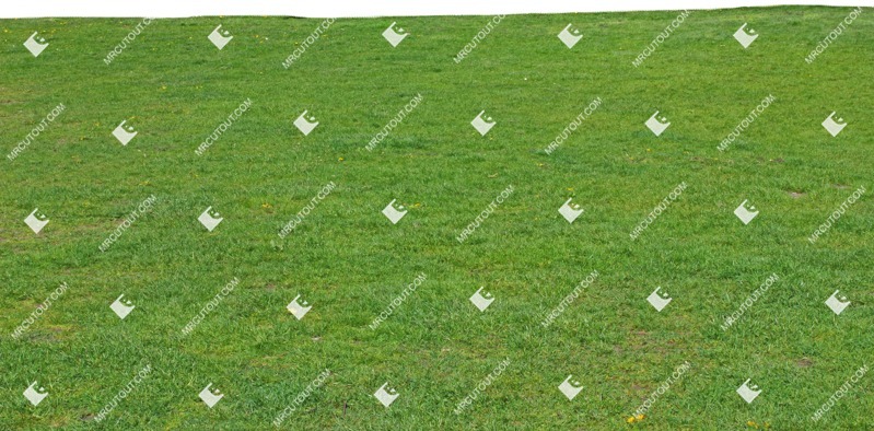 Cut out cut grass grass png vegetation (7625)