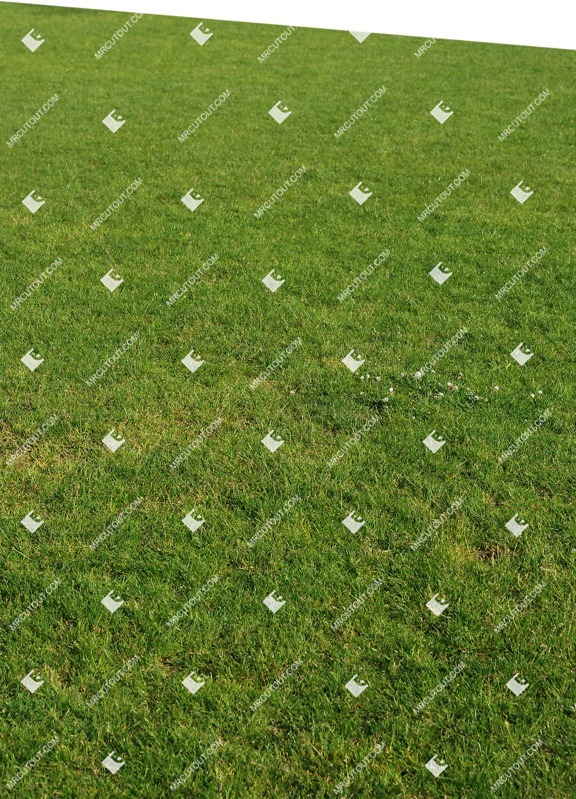 Cutout cut grass grass plant cutouts (9167)