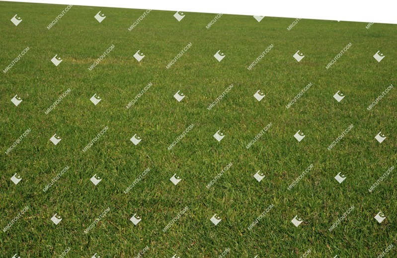 Cut out cut grass grass vegetation png (9752)