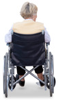 Disabled woman  (20163) - miniature