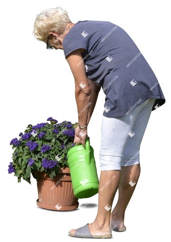 Elderly gardening people png (1529)