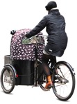 Family with a stroller cycling  (694) - miniature