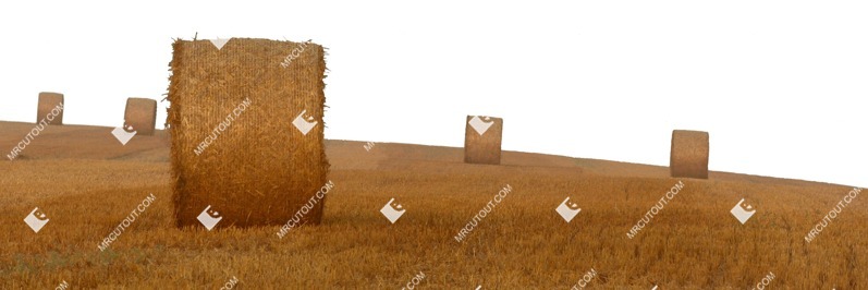 Field cut out foreground png (1331)