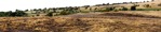Field cut out foreground png (5765) - miniature