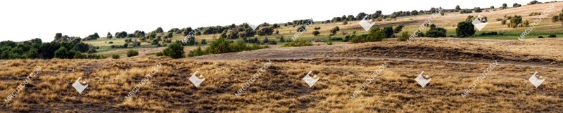Field cut out foreground png (6022)
