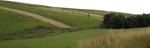 Field cut out foreground png (6085) - miniature