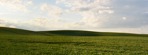 Field png foreground cut out (7812) - miniature