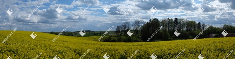 Field cut out foreground png (8662)