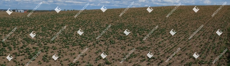Field cut out foreground png (8732)