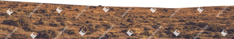 Field cut out foreground png (8876)
