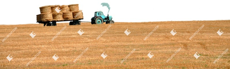 Field other foreground cut out foreground png (5789)