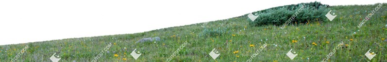 Fields png background cut out (5757)