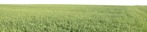Fields other background cut out background png (5612) - miniature