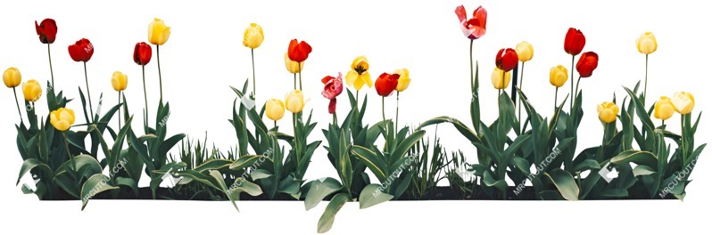 Cut out flower cutout plant (4403)
