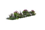 Cut out flower png vegetation (14014) | MrCutout.com - miniature