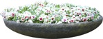 Cut out flower potted flower viola wittrockiana gams cut out vegetation (6799) - miniature