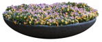 Cut out Flower Potted Flower Viola Wittrockiana Gams 0003 | MrCutout.com - miniature