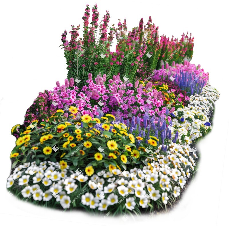 Cut out flowerbed png vegetation (19315)