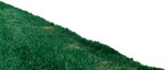 Grass cut out foreground png (6126) - miniature
