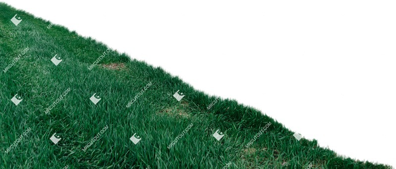 Grass cut out foreground png (6126)