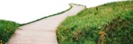 Grass png foreground cut out (6019) - miniature