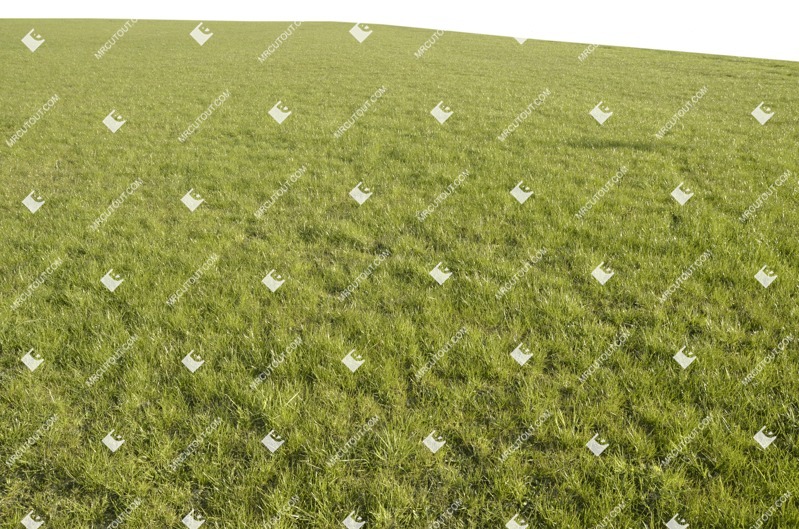 Cut out Grass 0006