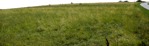 Grass cut out foreground png (6798) - miniature