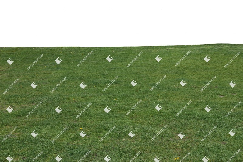 Cut out Grass 0011