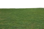Grass  (7319) - miniature