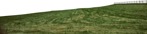 Grass cut out foreground png (7275) - miniature
