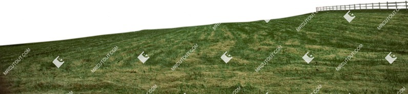 Grass cut out foreground png (7261)