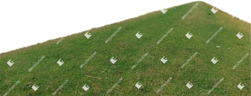 Grass cut out foreground png (7508)