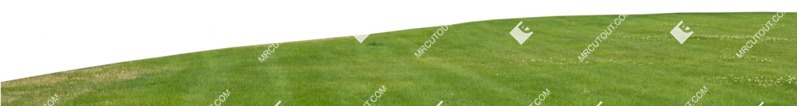 Grass cut out foreground png (7452)