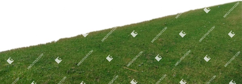 Grass cut out foreground png (7509)