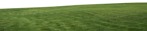 Grass cut out foreground png (7589) - miniature